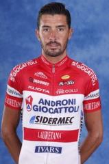 Mirko Selvaggi